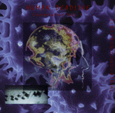 Human Deadline Compilation CD
